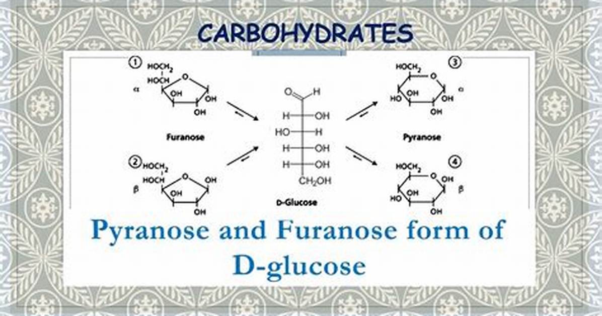 What Do U Mean by Furanose?