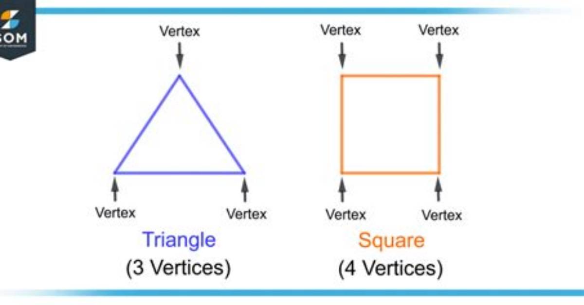 What Do U Mean by Vertices