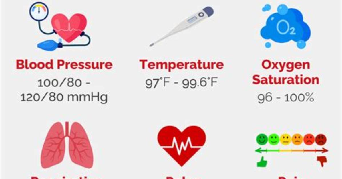 What Do Vital Signs Indicate
