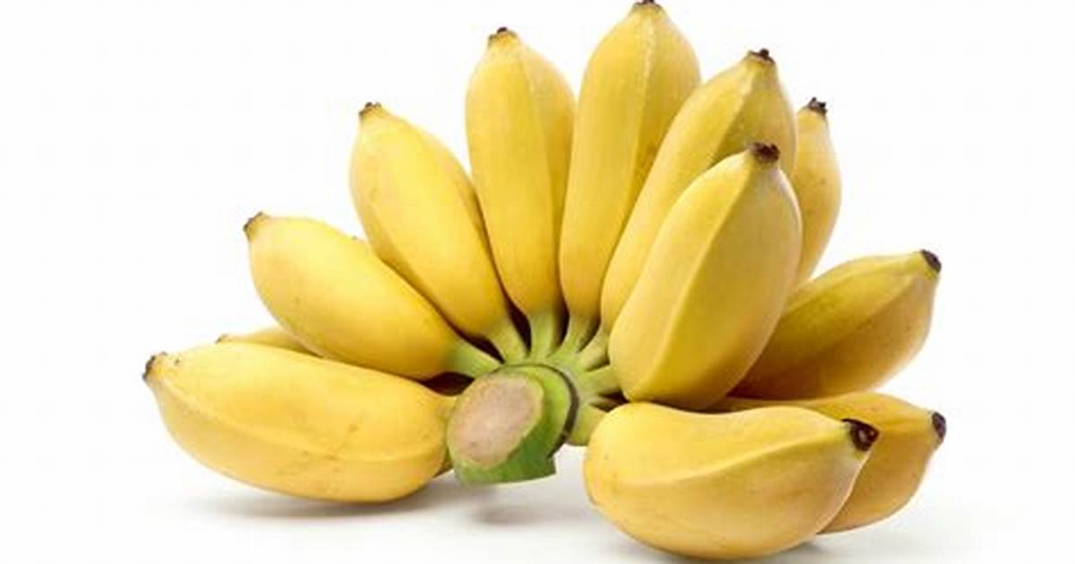 What Do You Call Small Bananas