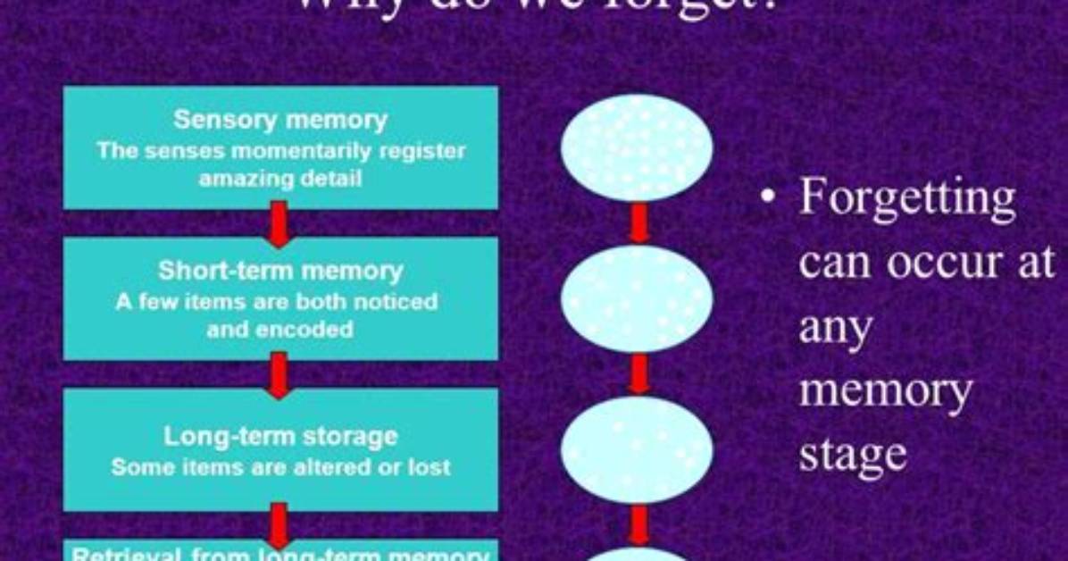 What Do You Do If You Forget Your Android Pattern?