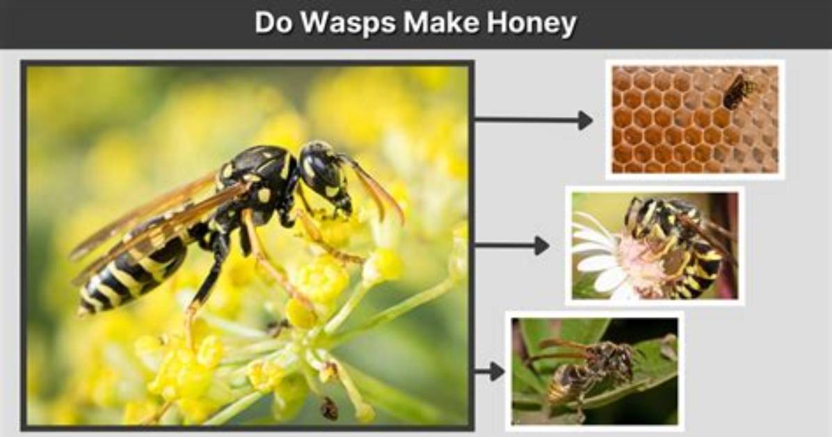 What Do You Do When a Wasp Flies Around You