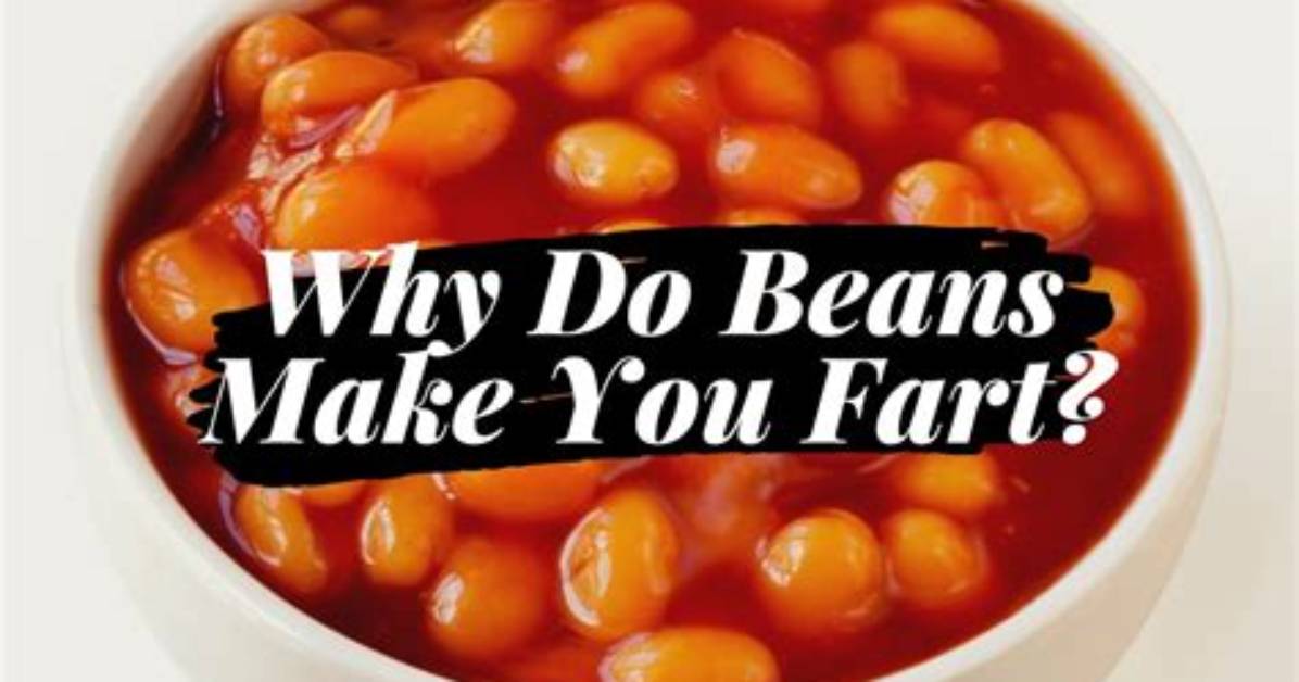What Do You Do with the Beans in Among Us