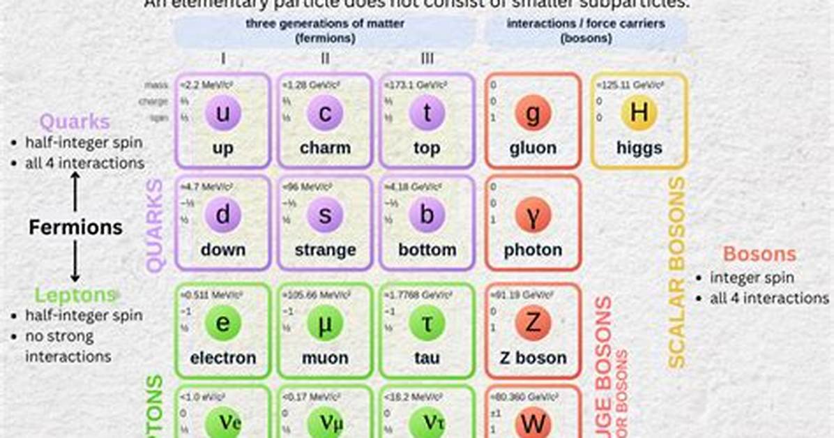 What Do You Mean by Elementary Particles