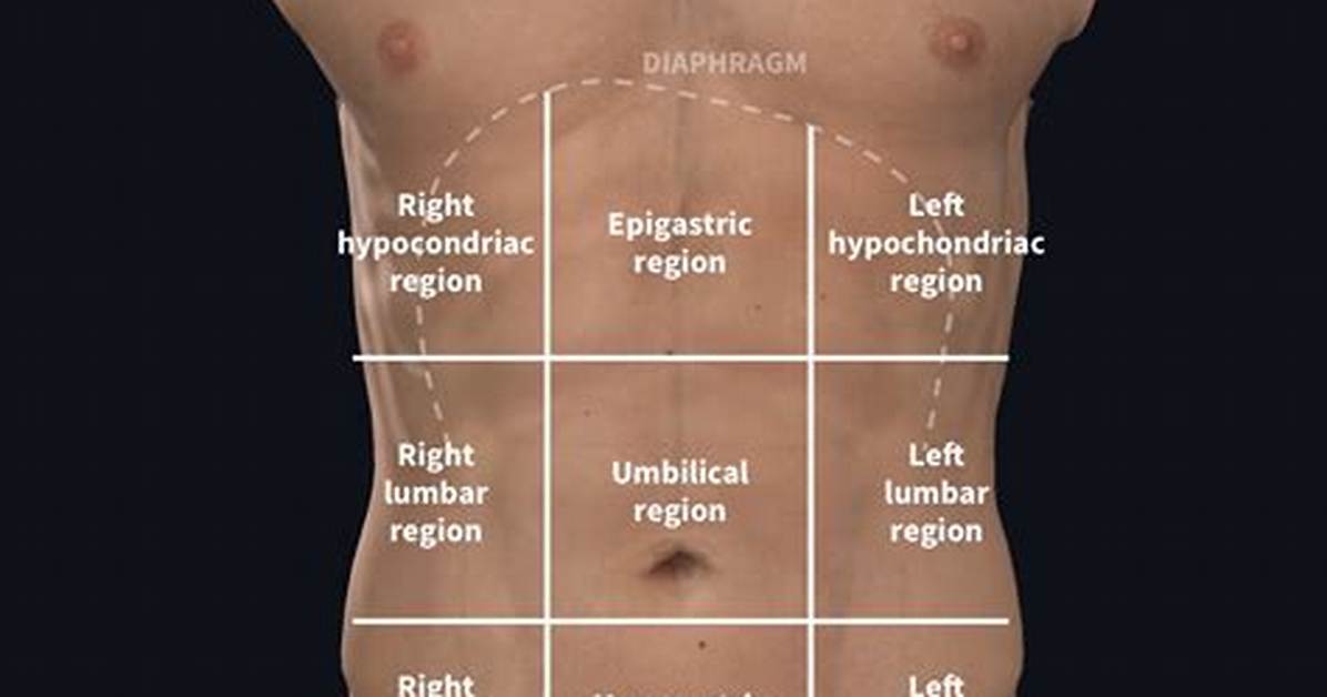 What Do You Mean by Epigastrium?