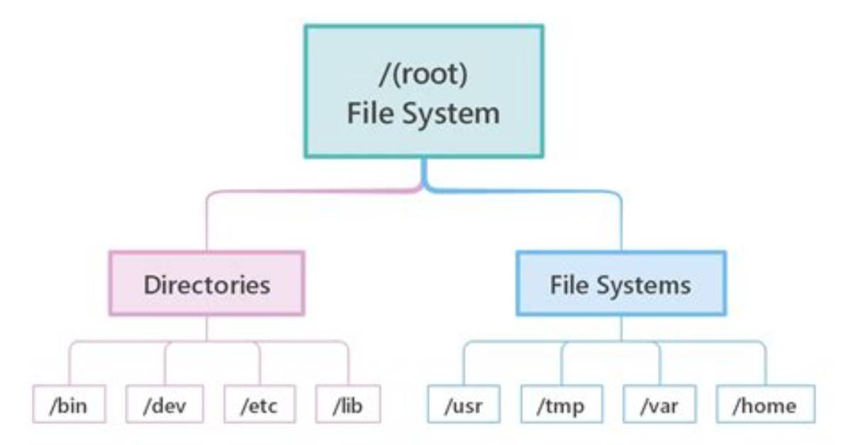 What Do You Mean by File System in Linux?