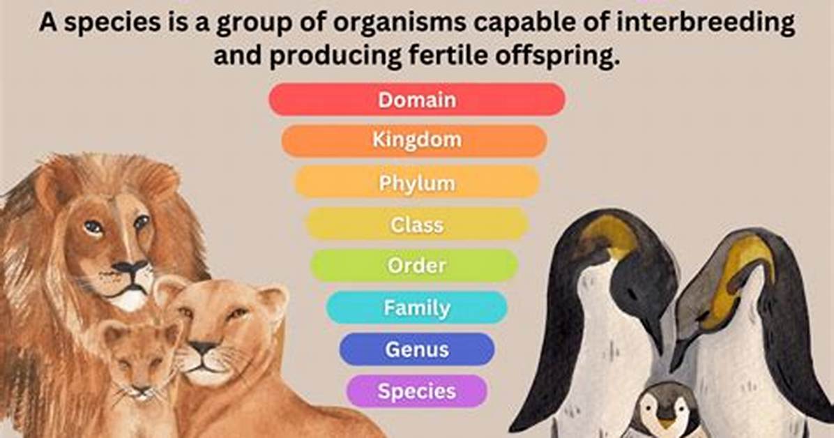What Do You Mean by Speciation Name Two Methods of Speciation?
