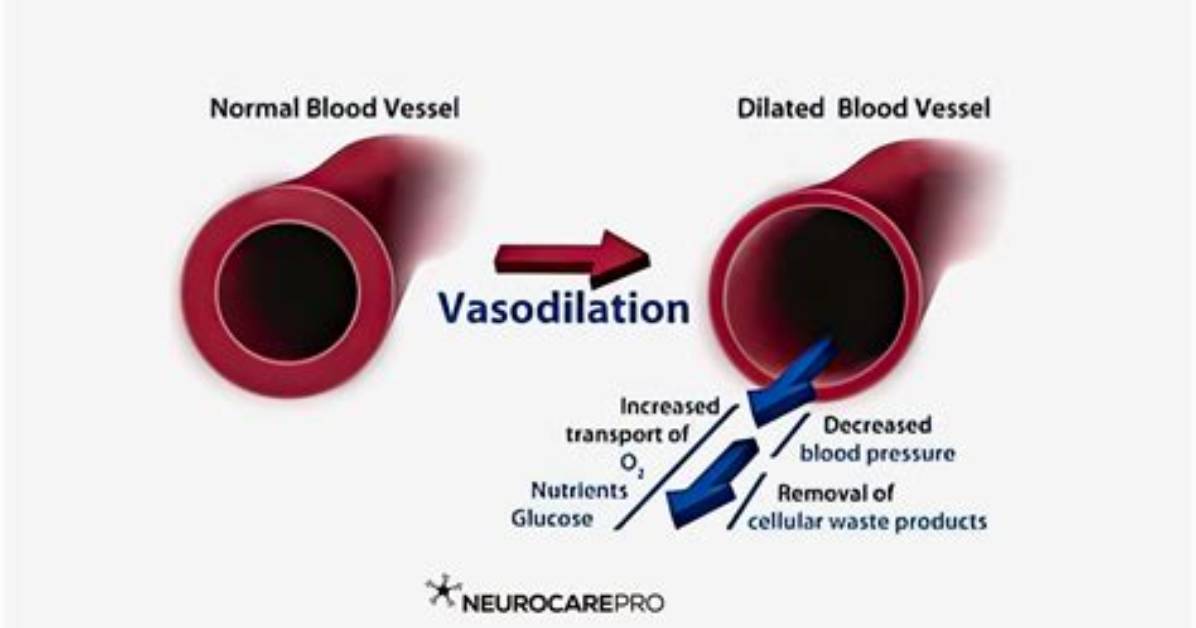 What Do You Mean by Vasodilation