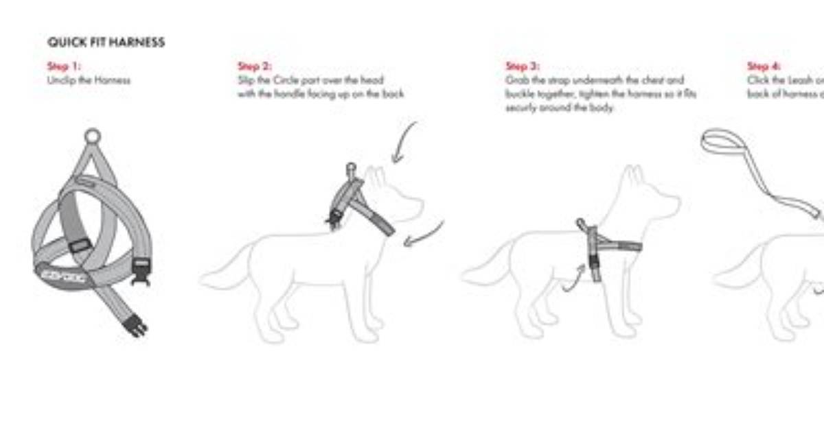 What Do You Put in a Dog Park