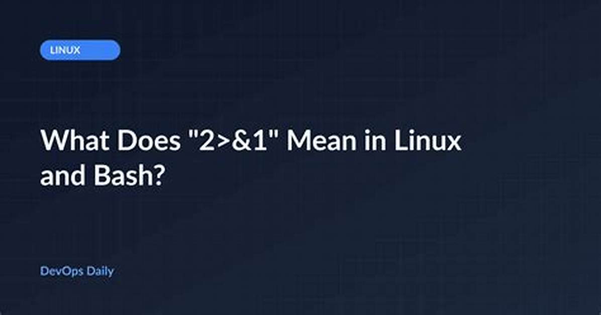 What Does “1>&2” Mean in Bash? [Duplicate]