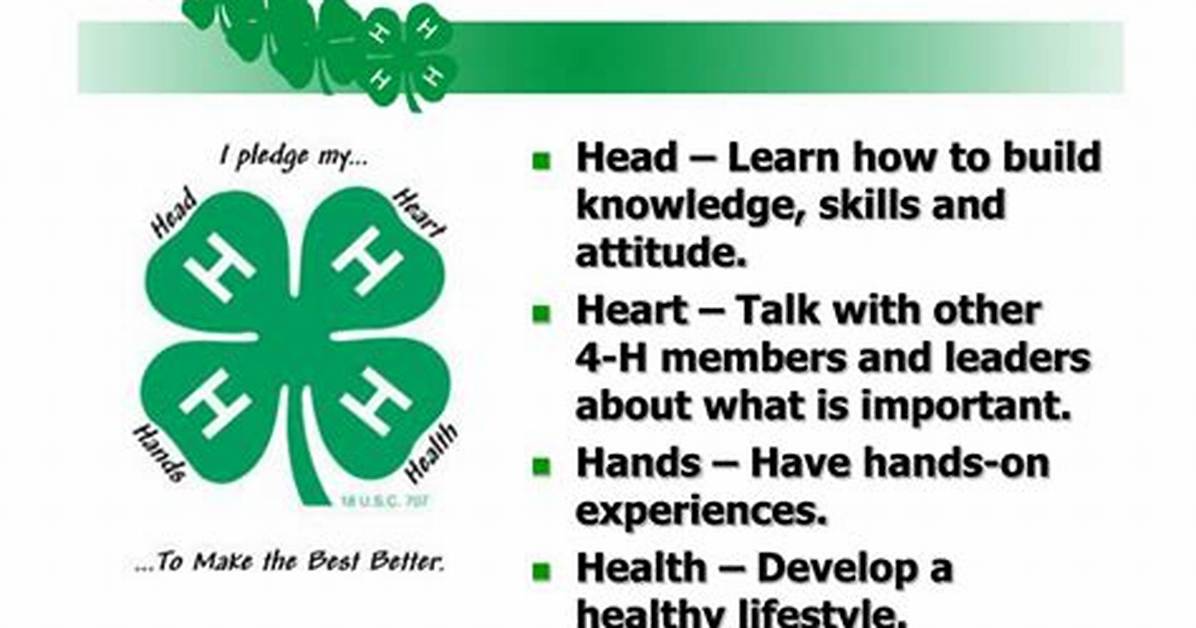 What Does 4H Stand For
