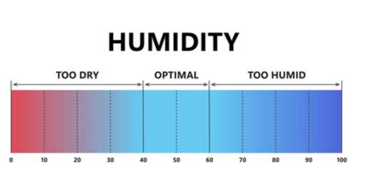 What Does 50 Humidity Feel Like