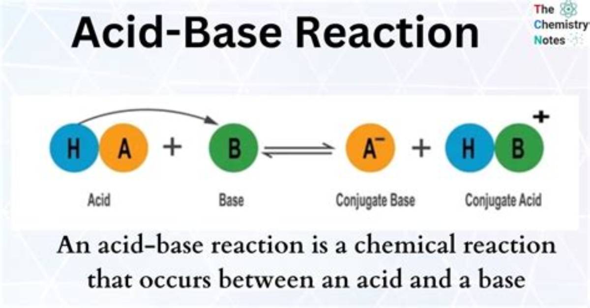 What Does a Base React with?