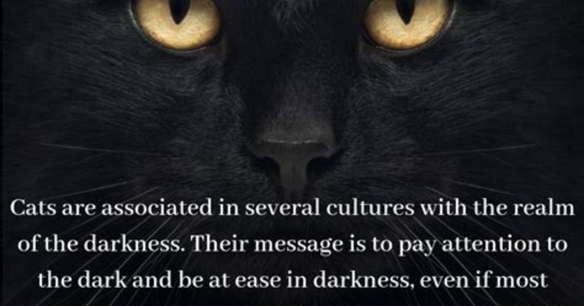 What Does a Cat Symbolize in a Dream?