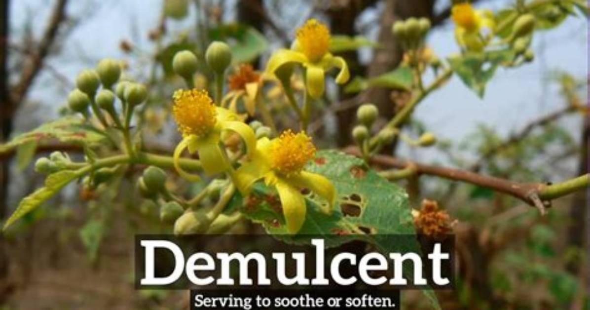 What Does a Demulcent Do