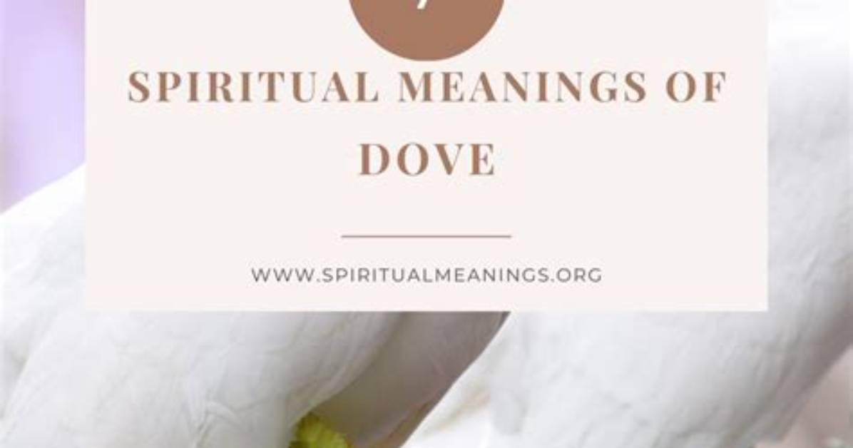 What Does a Dove Symbolize?