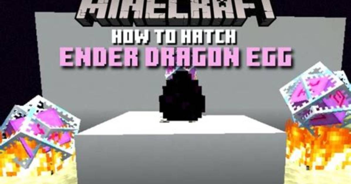 What Does a Dragon Egg Do in Minecraft