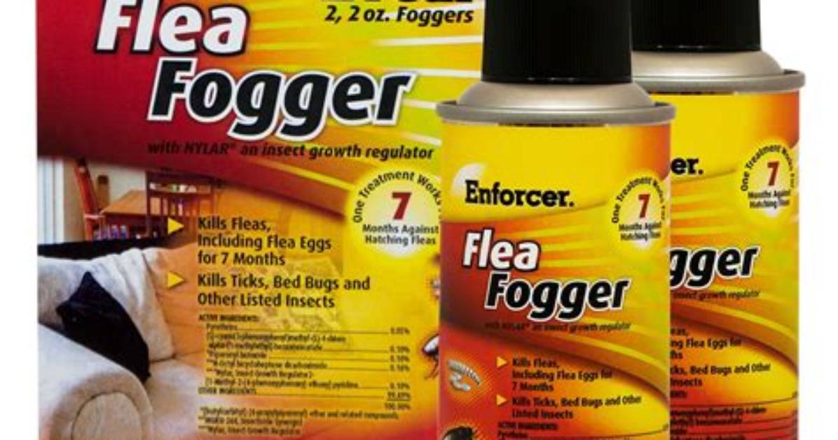 What Does a Fogger Kill
