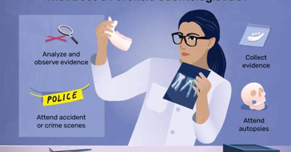 What Does a Forensic Odontologist Do