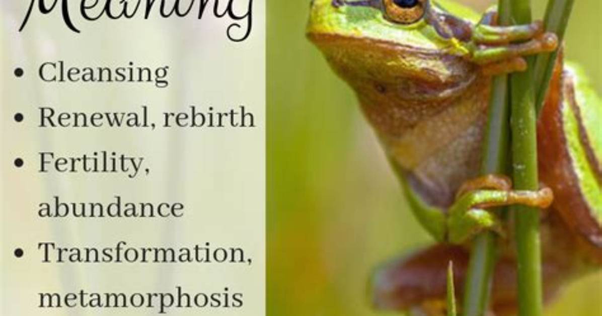 What Does a Gold Frog Symbolize