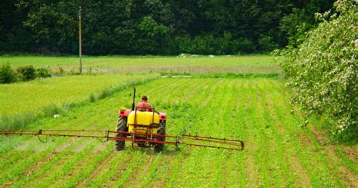 What Does a Herbicide Do
