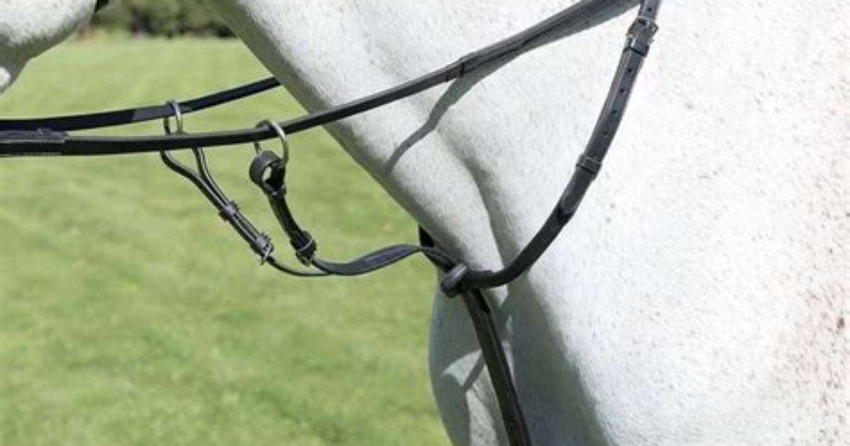 What Does a Martingale Do for Horses?