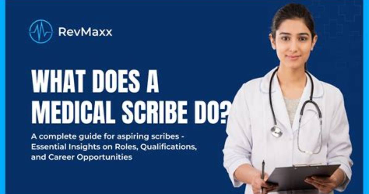 What Does a Medical Summariser Do?