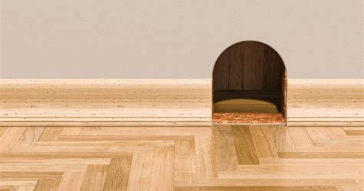 What Does a Mouse Hole Look Like