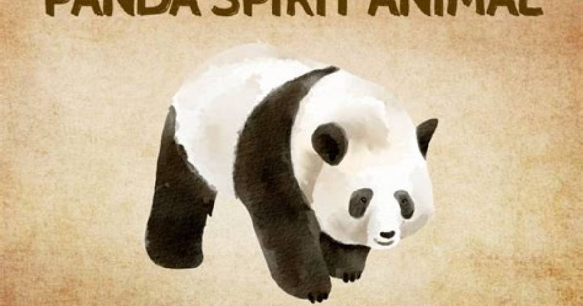 What Does a Panda Symbolize?