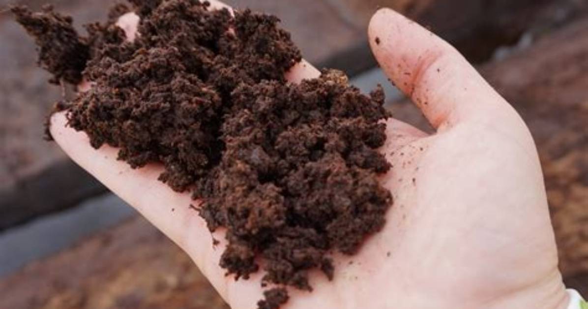 What Does a Peat Digger Mean