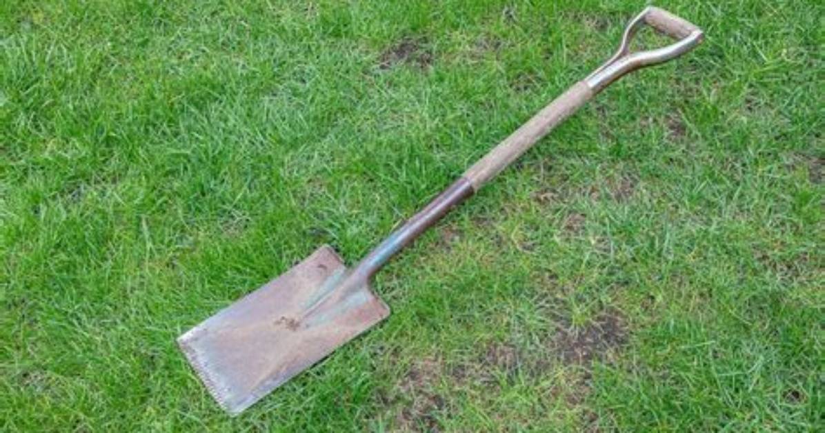 What Does a Spade Look Like?