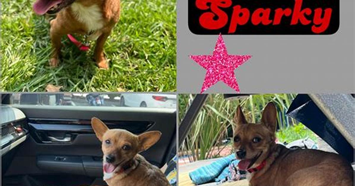 What Does a Sparky Do?