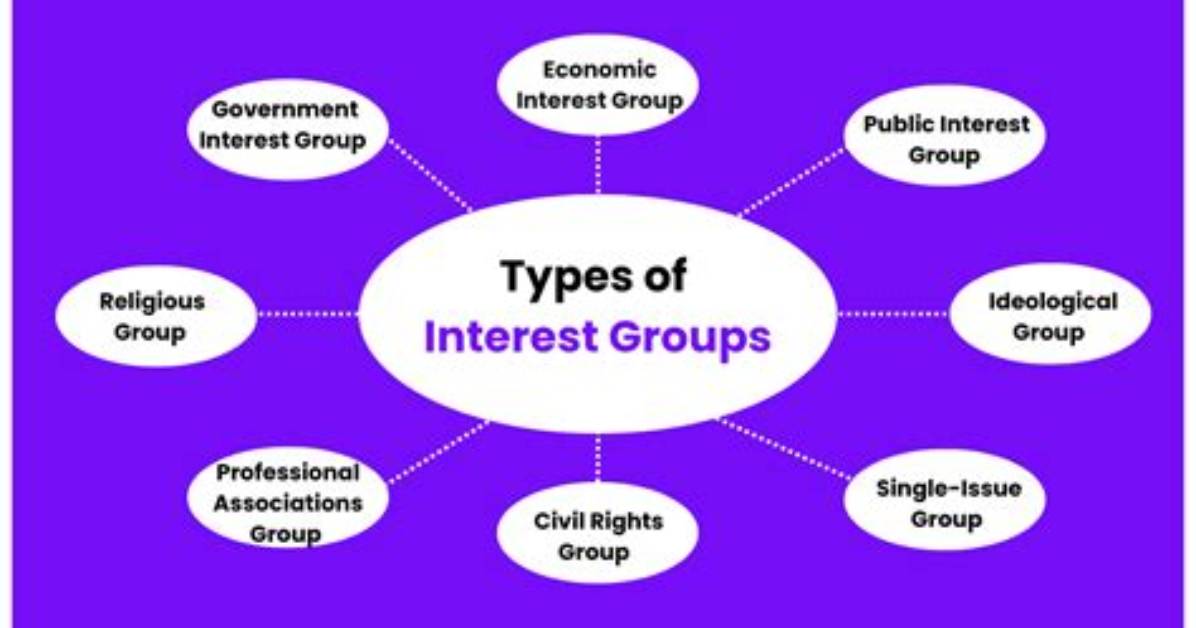 What Does a Special Interest Group Do