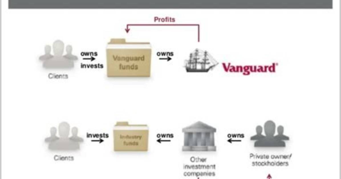 What Does a Vanguard Do?