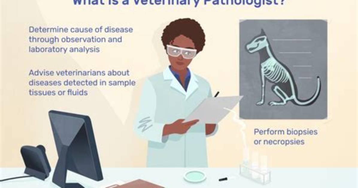 What Does a Veterinary Clinical Pathologist Do