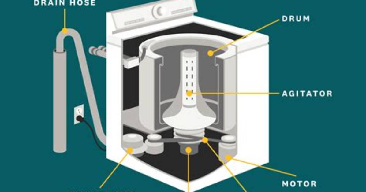 What Does a Washing Machine Look Like Inside
