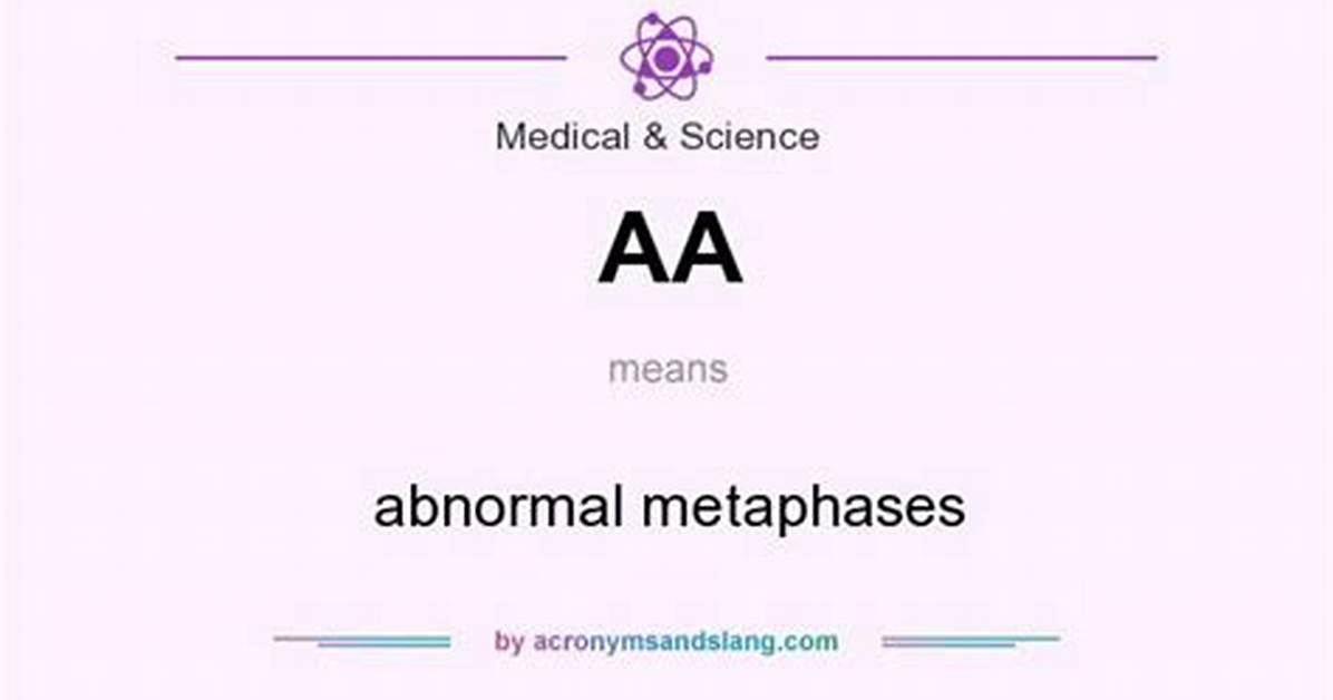 What Does Aa Stand for in Anatomy