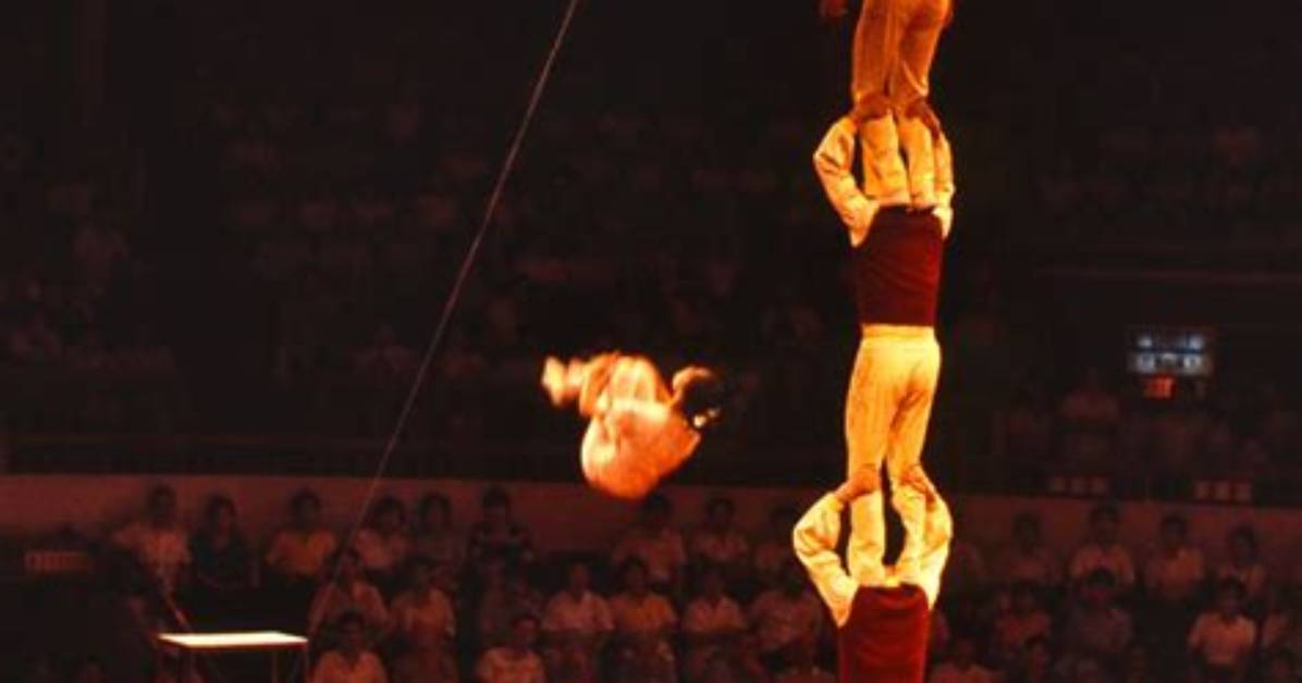 What Does Acrobatics Mean?