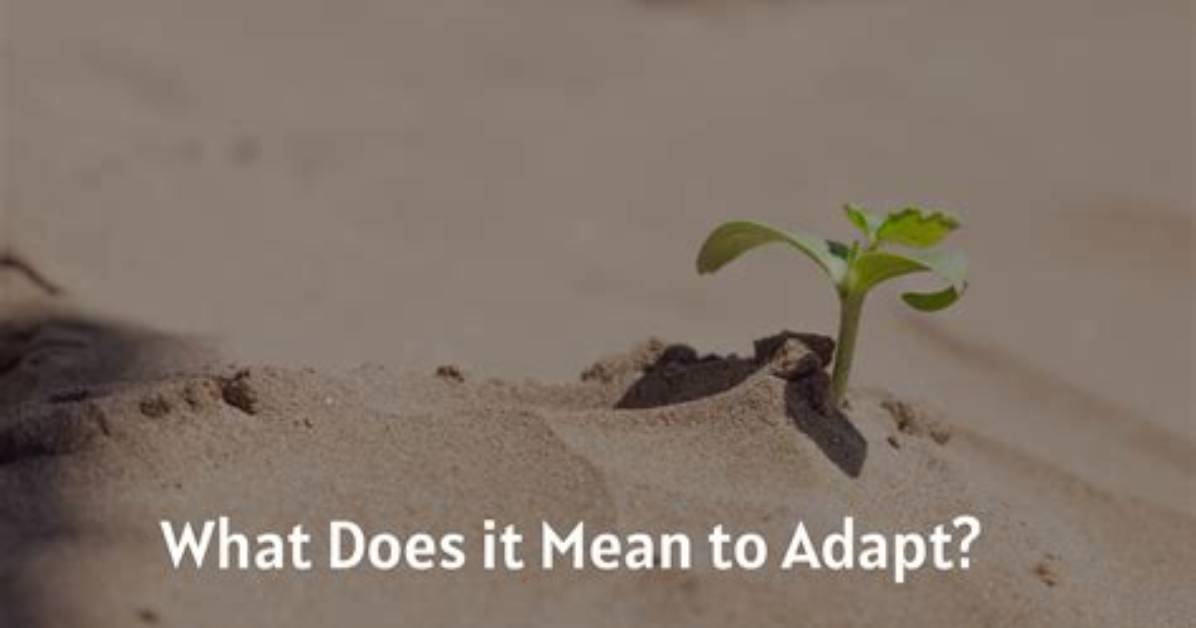 What Does Adapt Stand for?