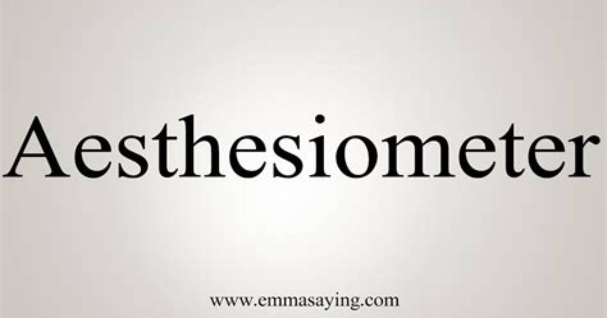 What Does Aesthesiometer Mean?