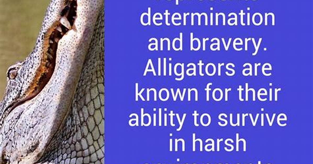 What Does Alligator Represent?