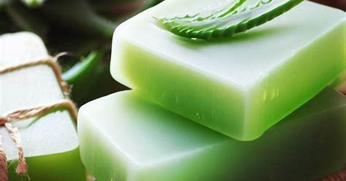 What Does Aloe Vera Do in Soap?