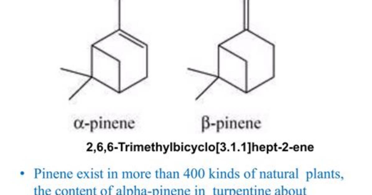 What Does Alpha Pinene Do?