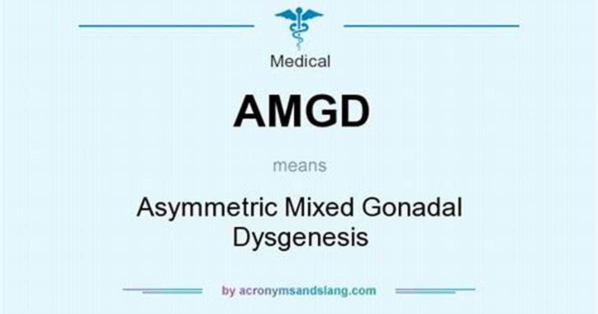 What Does Amgd Stand For