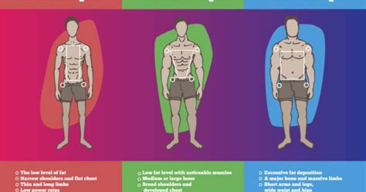What Does an Ectomorph Look Like?