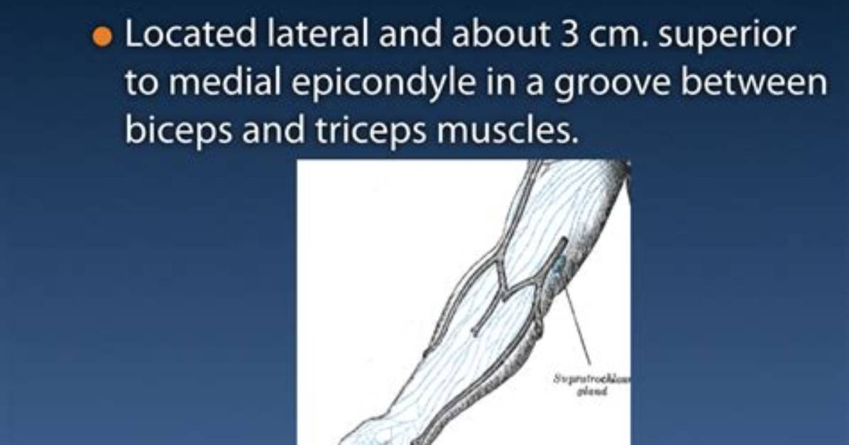 What Does an Enlarged Epitrochlear Lymph Node Mean