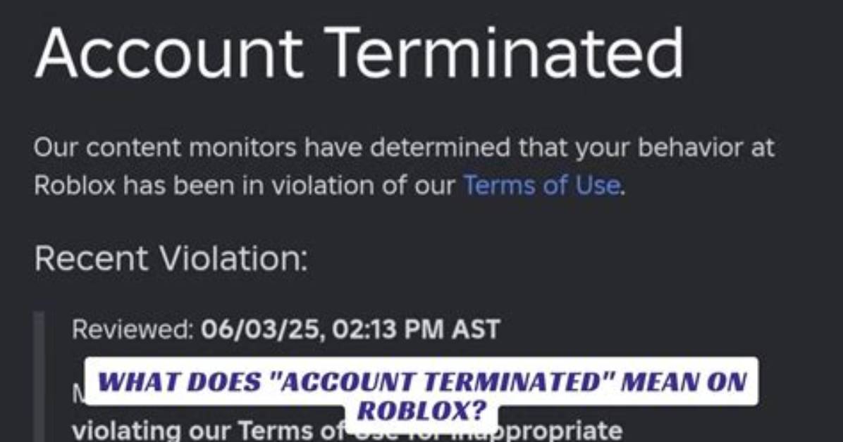 What Does Annually Mean in Roblox