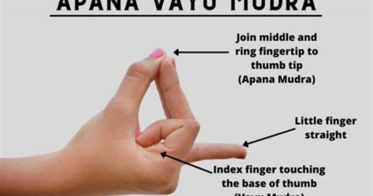 What Does Apana Vayu Do