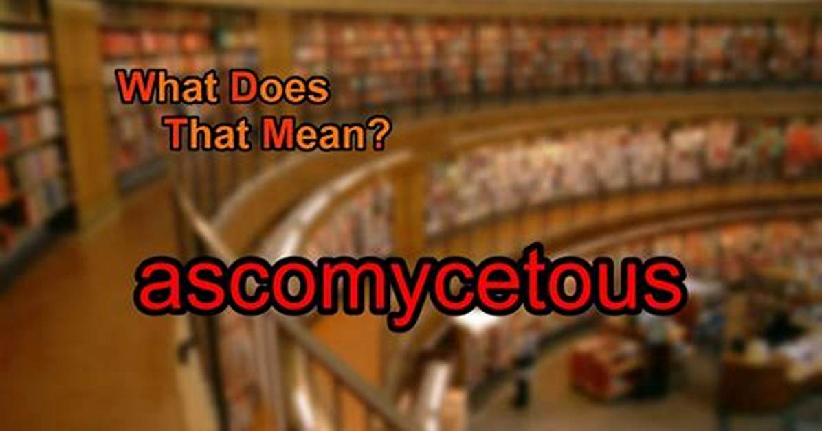 What Does Ascomycetous Mean?