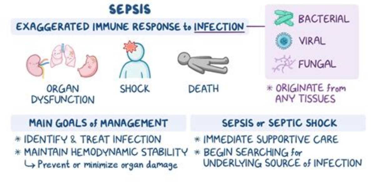 What Does Asepsis Look Like